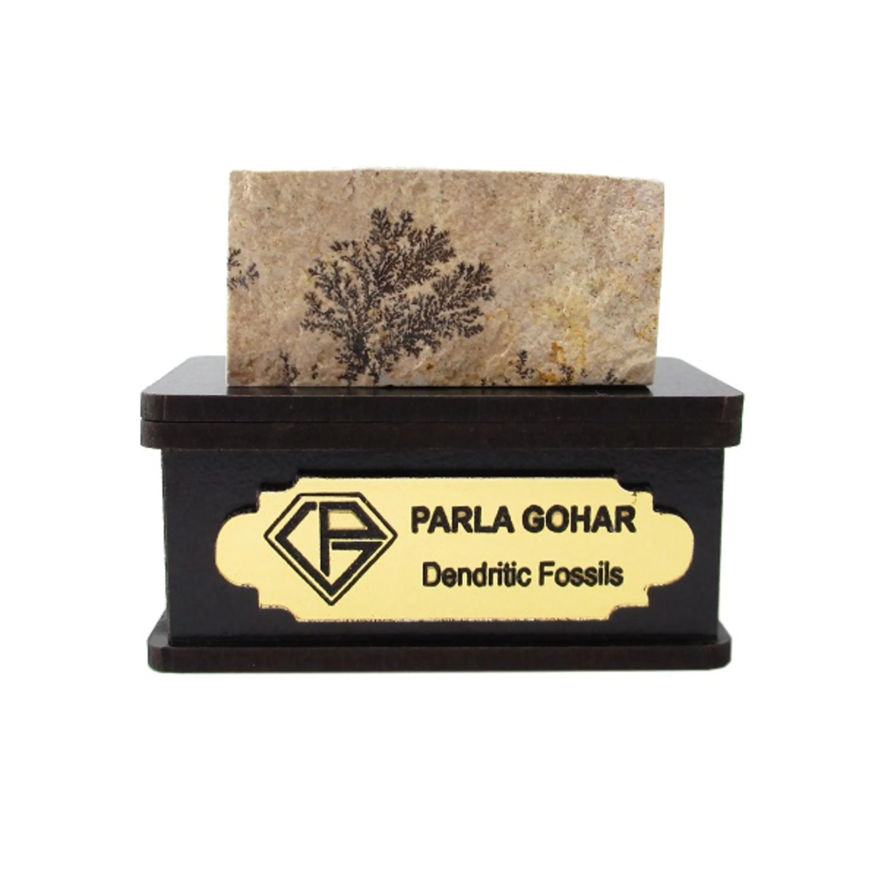 dendritic-fossil-2203 سنگ شجر فسیلی 